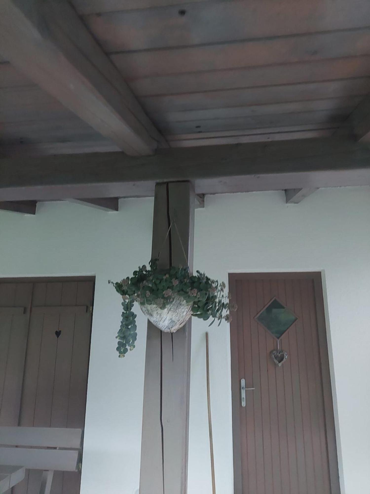 Vineyard Cottage Klemencic Novo Mesto Buitenkant foto