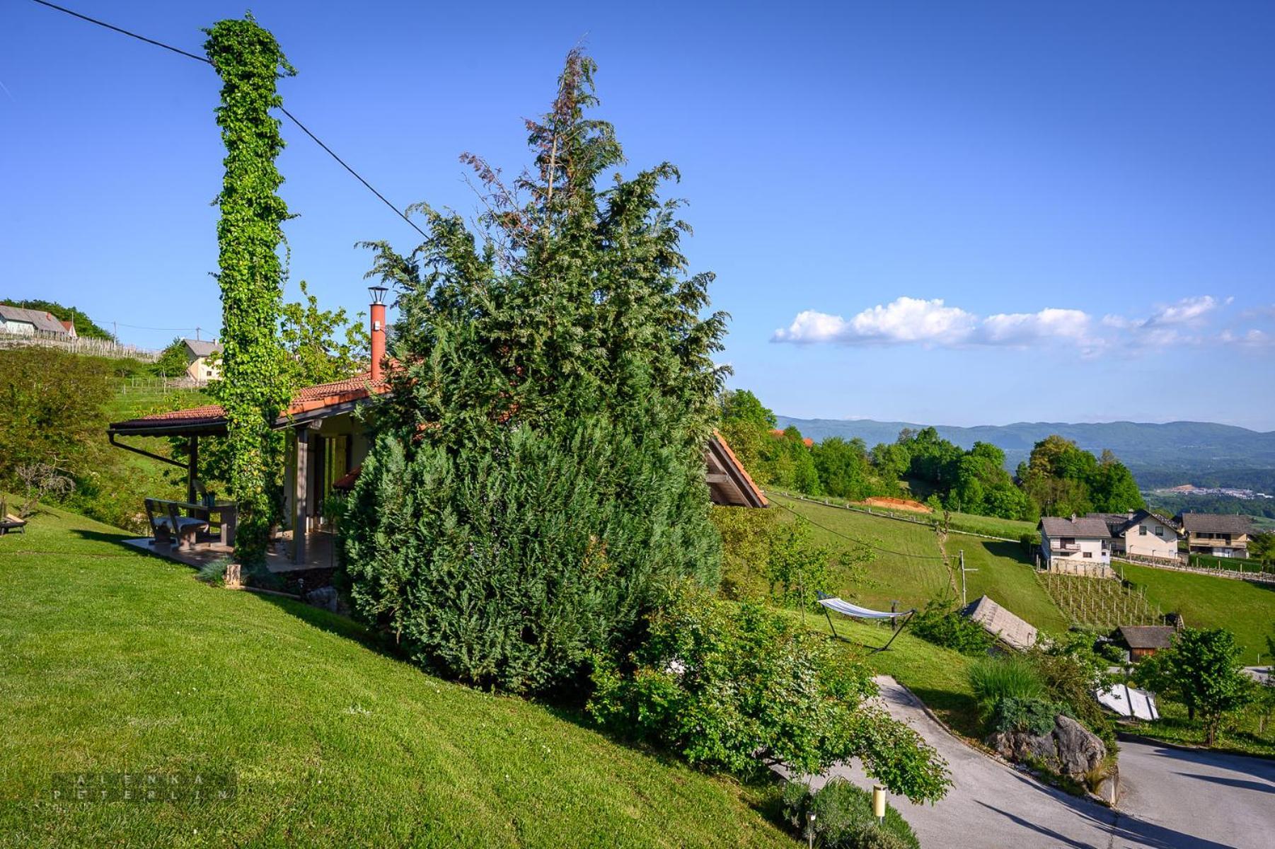 Vineyard Cottage Klemencic Novo Mesto Buitenkant foto
