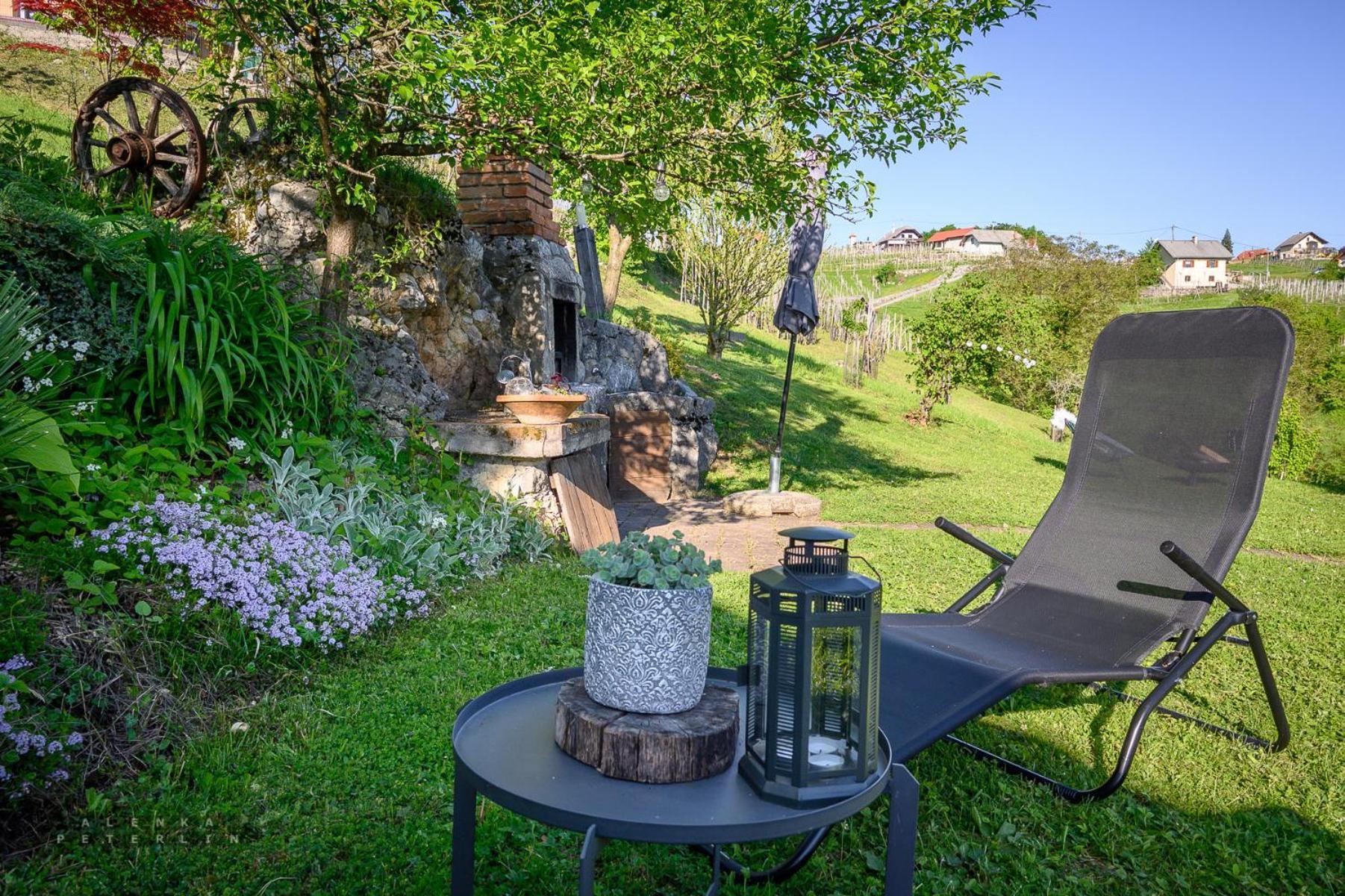 Vineyard Cottage Klemencic Novo Mesto Buitenkant foto