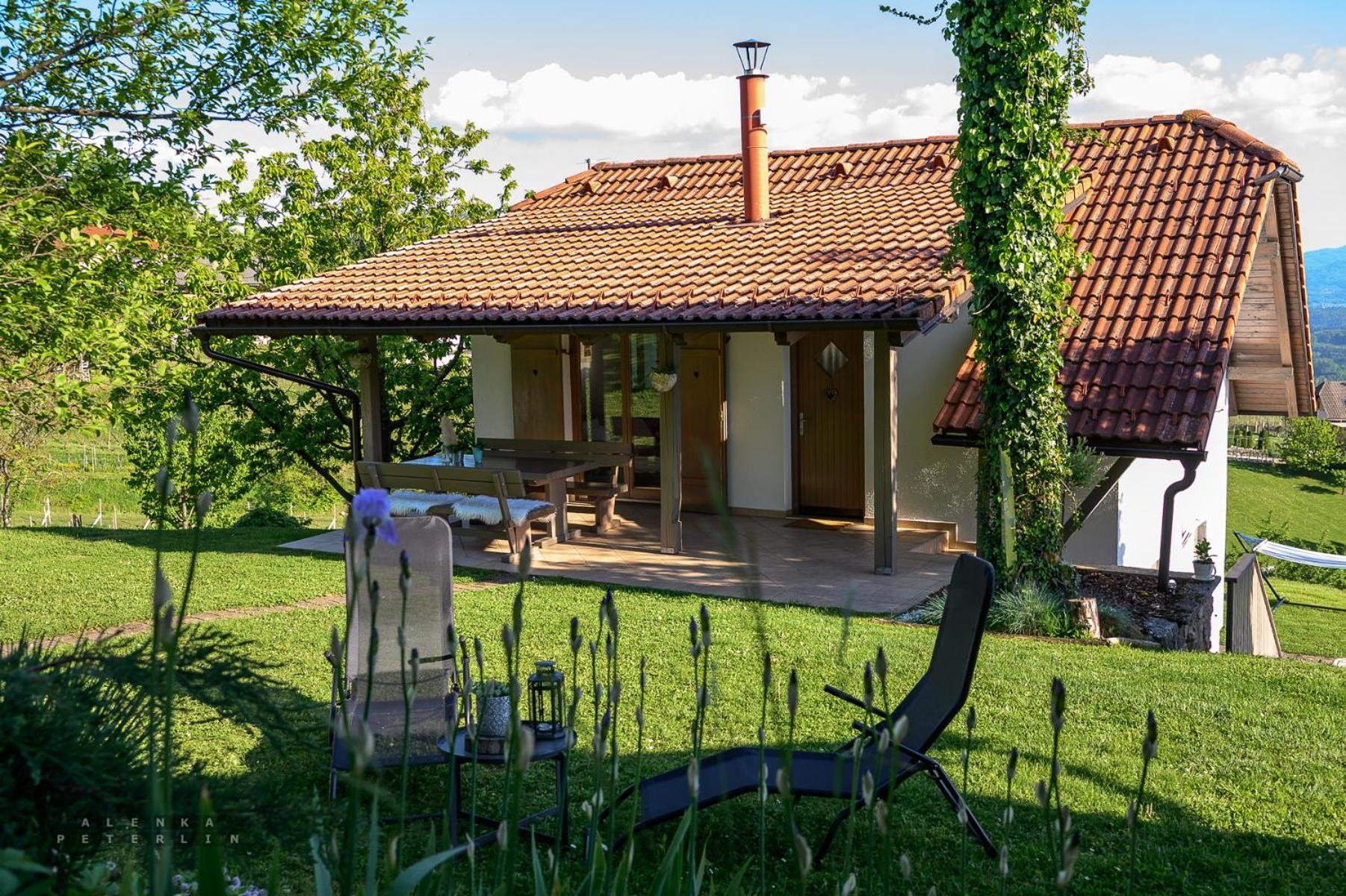 Vineyard Cottage Klemencic Novo Mesto Buitenkant foto