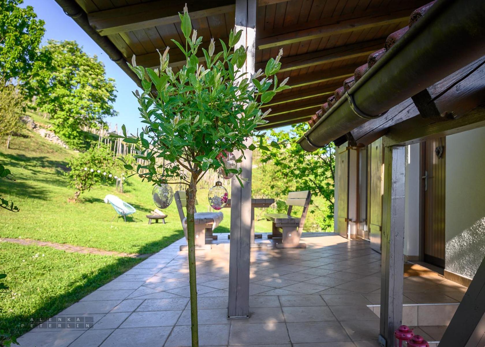 Vineyard Cottage Klemencic Novo Mesto Buitenkant foto